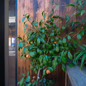 https://hotel-kyoto-605-0821.hotels-in-kyoto.org